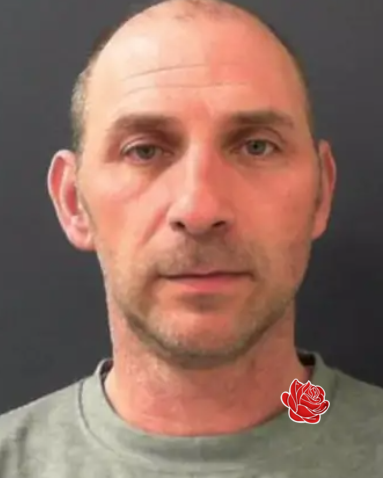 Profile image of Adrian Rodi